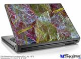 Laptop Skin (Medium) - On Thin Ice